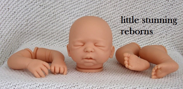 bountiful baby reborn kits